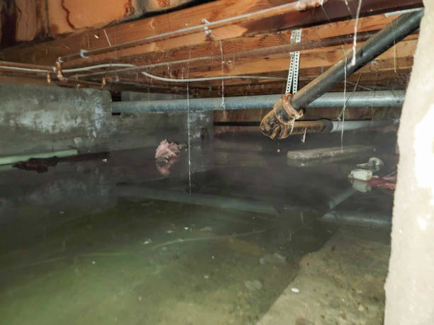 Best Commercial Water Damage Restoration in Pottstown, PA